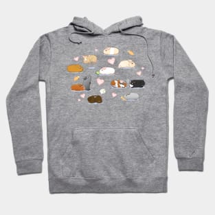 Piggy Parade Hoodie